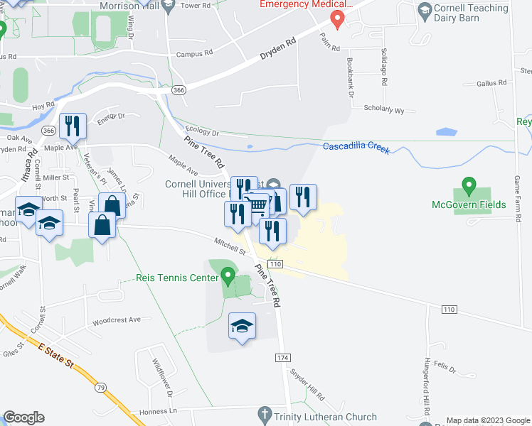 map of restaurants, bars, coffee shops, grocery stores, and more near 349 Pine Tree Road in Ithaca