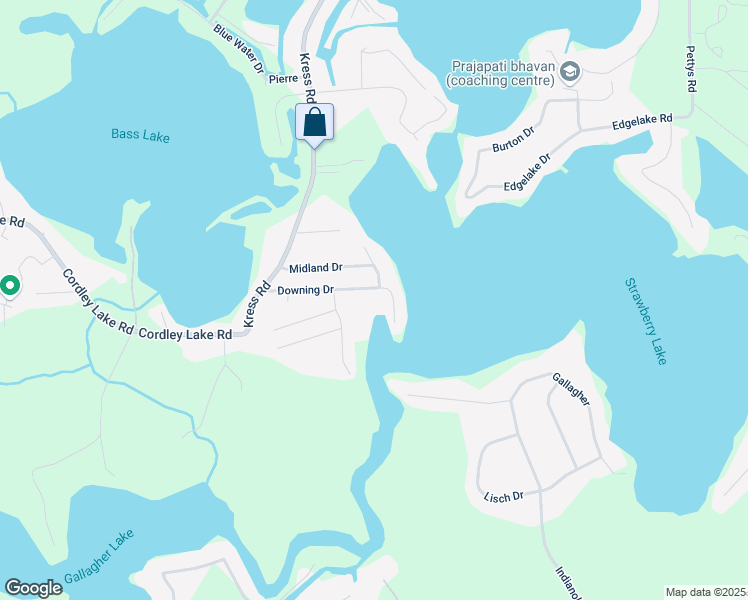 map of restaurants, bars, coffee shops, grocery stores, and more near 4770 Downing Drive in Pinckney