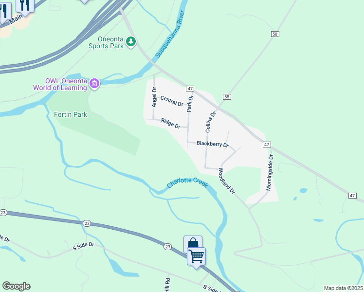 map of restaurants, bars, coffee shops, grocery stores, and more near 190-198 Park Dr in Oneonta