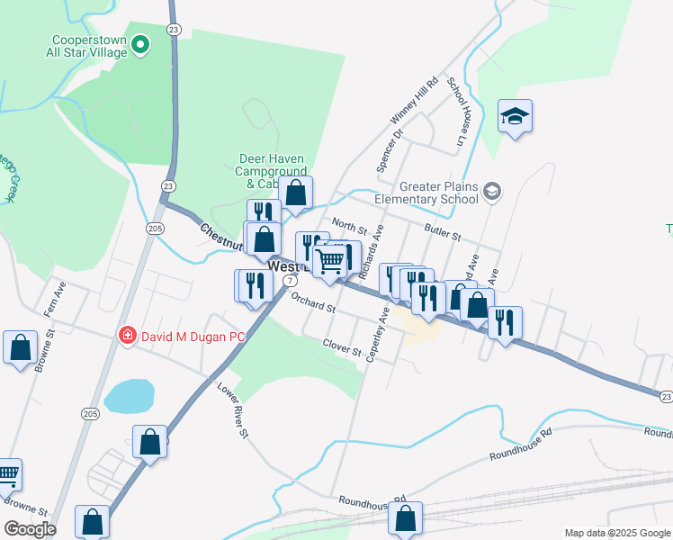 map of restaurants, bars, coffee shops, grocery stores, and more near 426 Chestnut Street in Oneonta