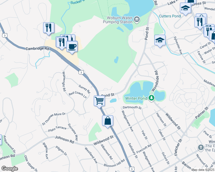 map of restaurants, bars, coffee shops, grocery stores, and more near 299 Cambridge Street in Winchester