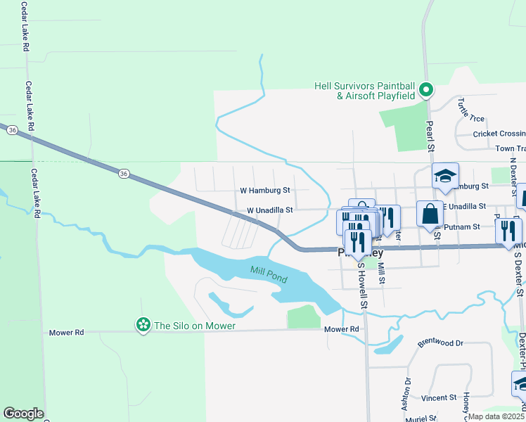 map of restaurants, bars, coffee shops, grocery stores, and more near 531 West Unadilla Street in Pinckney