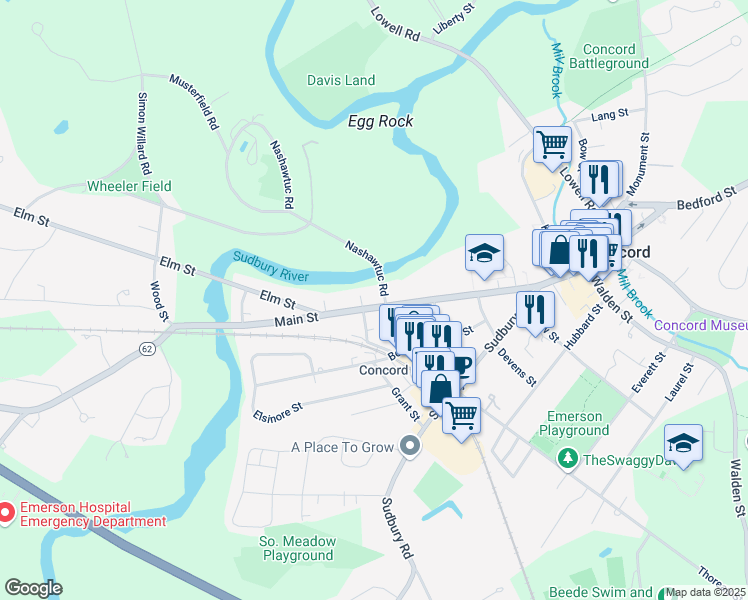 map of restaurants, bars, coffee shops, grocery stores, and more near 300 Massachusetts 62 in Concord