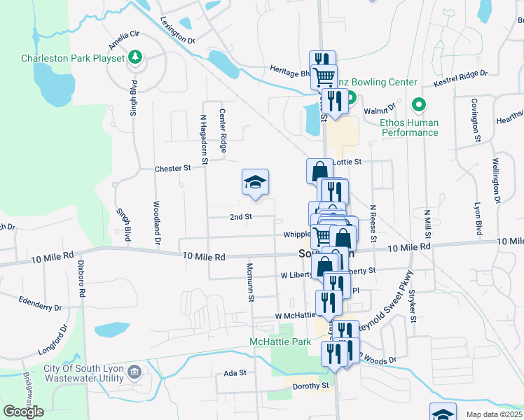 map of restaurants, bars, coffee shops, grocery stores, and more near 316 2nd Street in South Lyon