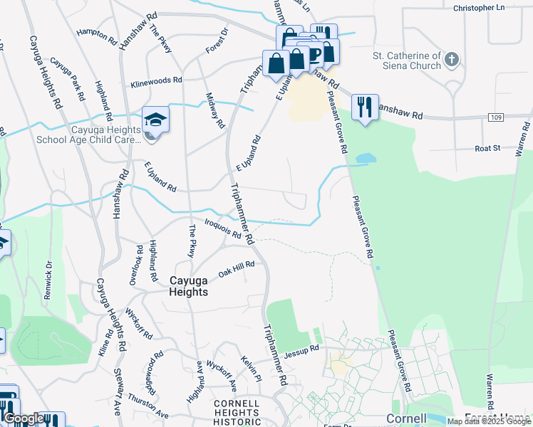 map of restaurants, bars, coffee shops, grocery stores, and more near 709 Triphammer Road in Ithaca