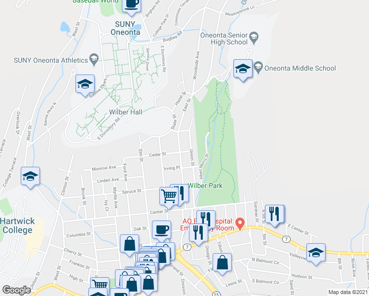 map of restaurants, bars, coffee shops, grocery stores, and more near 51 Cedar Street in Oneonta