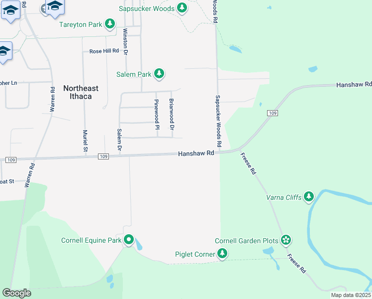 map of restaurants, bars, coffee shops, grocery stores, and more near 125 Birchwood Drive in Ithaca