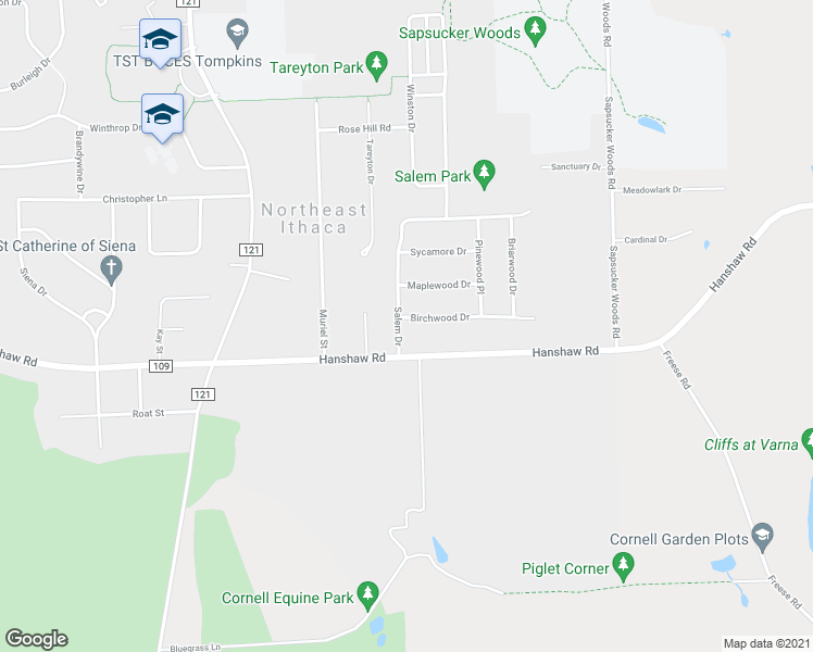 map of restaurants, bars, coffee shops, grocery stores, and more near in Northeast Ithaca