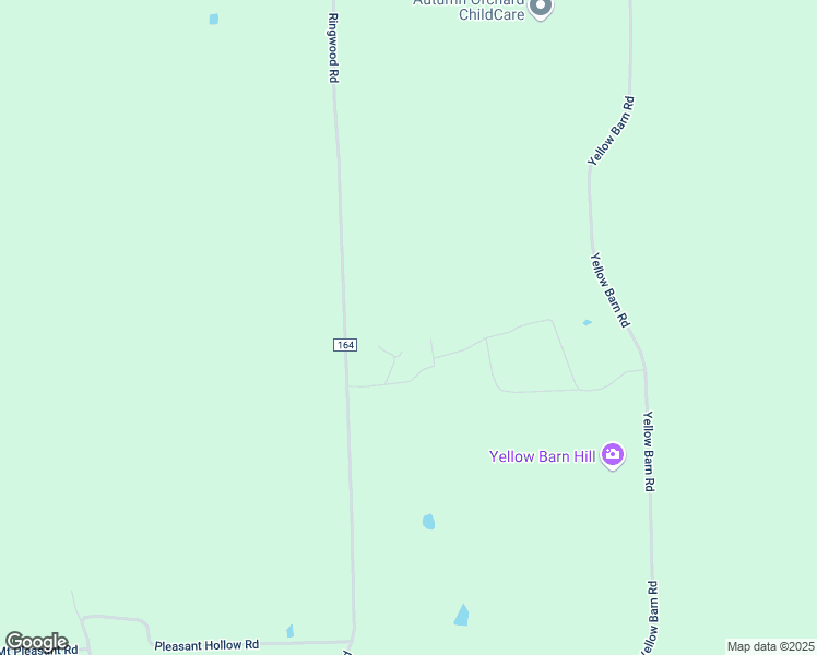 map of restaurants, bars, coffee shops, grocery stores, and more near 253 Ringwood Road in Freeville