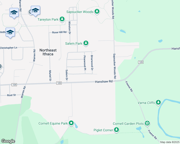 map of restaurants, bars, coffee shops, grocery stores, and more near 119 Birchwood Drive in Ithaca