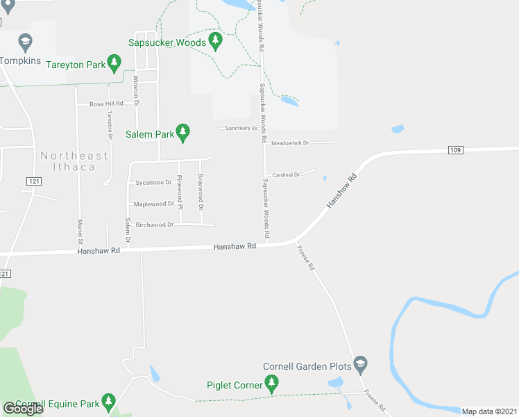 map of restaurants, bars, coffee shops, grocery stores, and more near 124 Sapsucker Woods Road in Ithaca