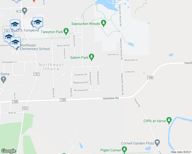 map of restaurants, bars, coffee shops, grocery stores, and more near 114 Briarwood Drive in Ithaca