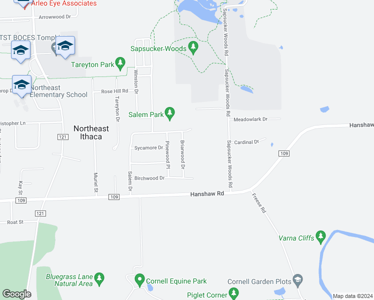 map of restaurants, bars, coffee shops, grocery stores, and more near 113 Briarwood Drive in Ithaca