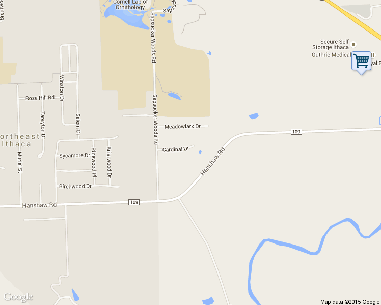 map of restaurants, bars, coffee shops, grocery stores, and more near 13 Cardinal Drive in Ithaca