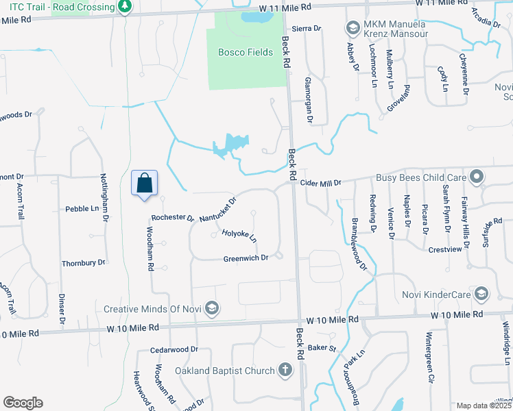 map of restaurants, bars, coffee shops, grocery stores, and more near 24428 Salem Court in Novi