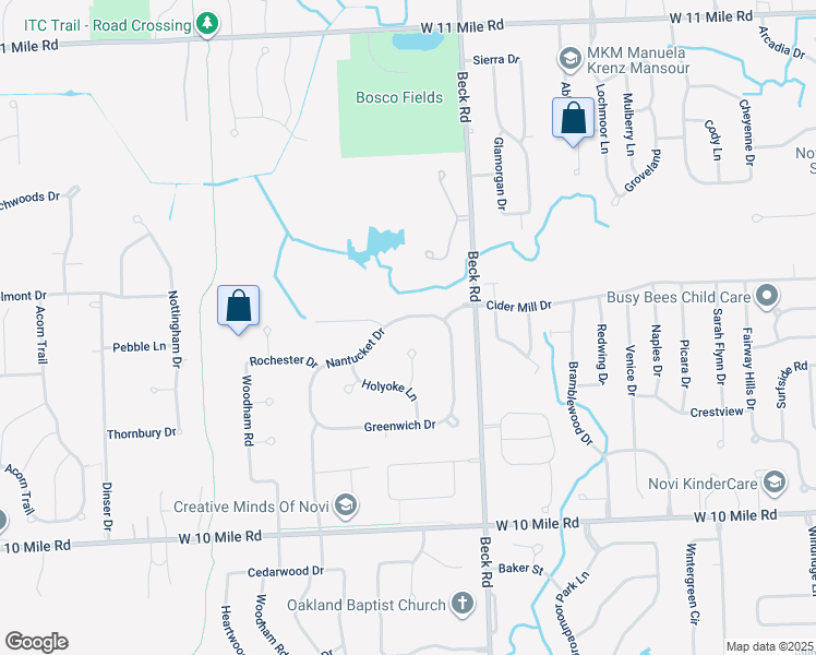 map of restaurants, bars, coffee shops, grocery stores, and more near 24428 Salem Court in Novi