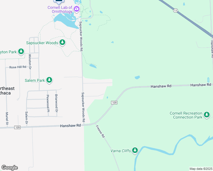 map of restaurants, bars, coffee shops, grocery stores, and more near 38 Meadowlark Drive in Ithaca
