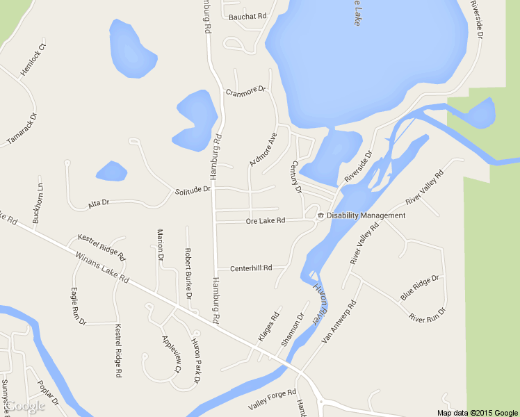 map of restaurants, bars, coffee shops, grocery stores, and more near 7421 Linwood Dr in Brighton