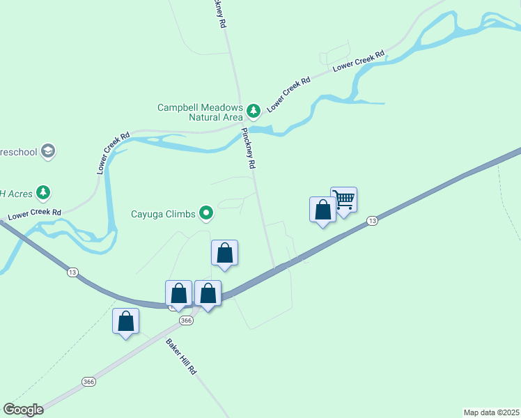 map of restaurants, bars, coffee shops, grocery stores, and more near 30-58 Pinckney Road in Ithaca