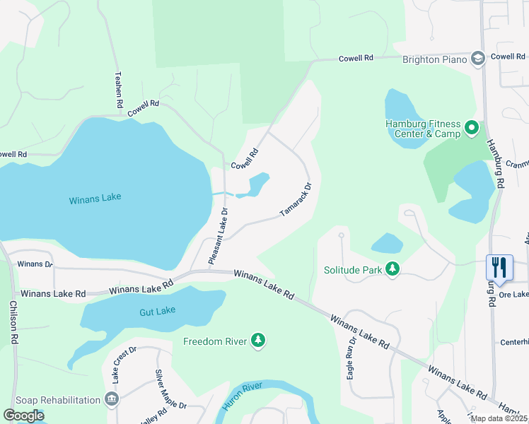 map of restaurants, bars, coffee shops, grocery stores, and more near 8740 Tamarack Drive in Brighton