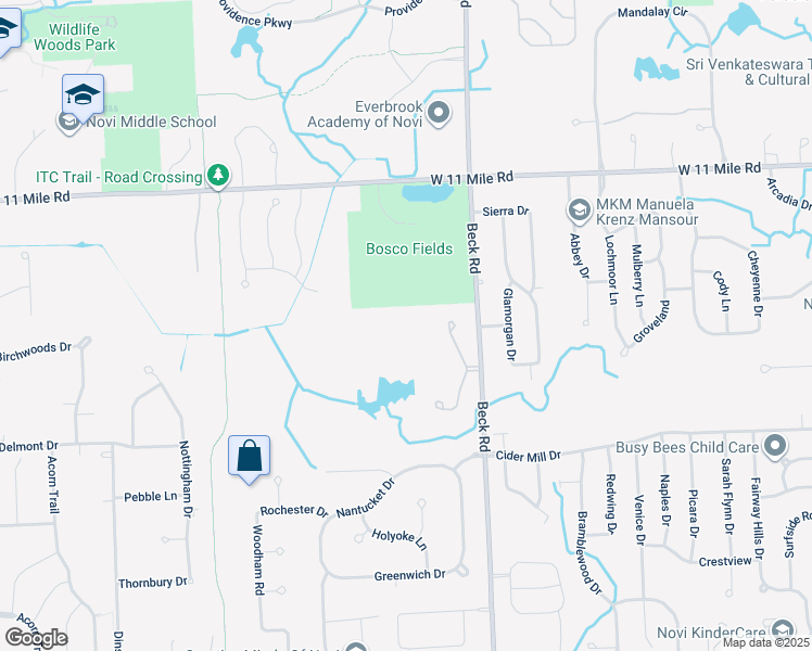 map of restaurants, bars, coffee shops, grocery stores, and more near in Novi