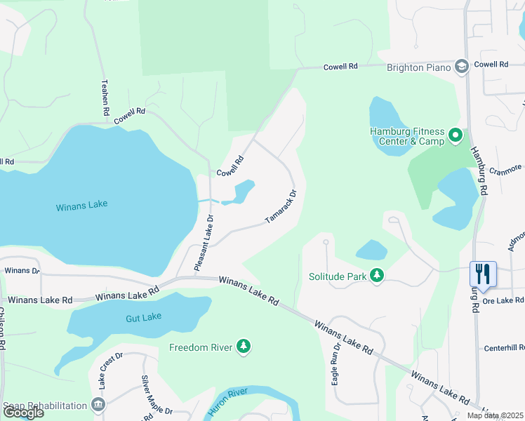 map of restaurants, bars, coffee shops, grocery stores, and more near 8740 Tamarack Drive in Brighton