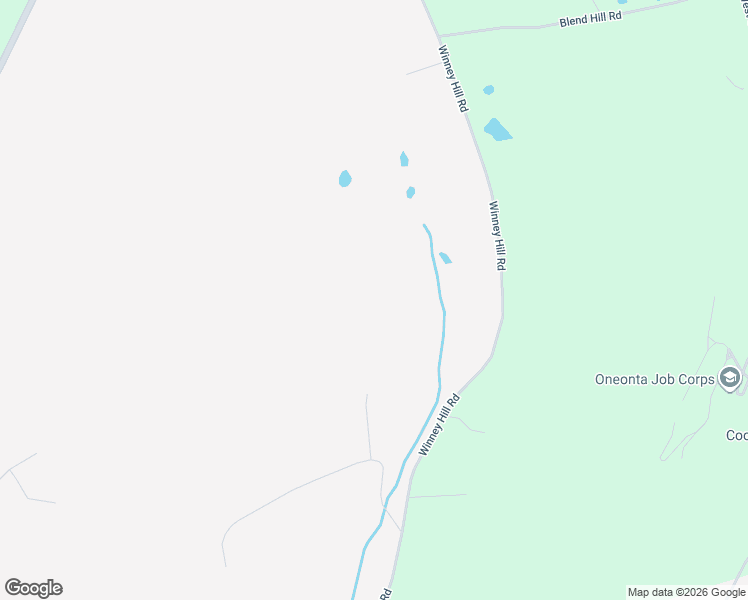 map of restaurants, bars, coffee shops, grocery stores, and more near 509 Winney Hill Road in Oneonta