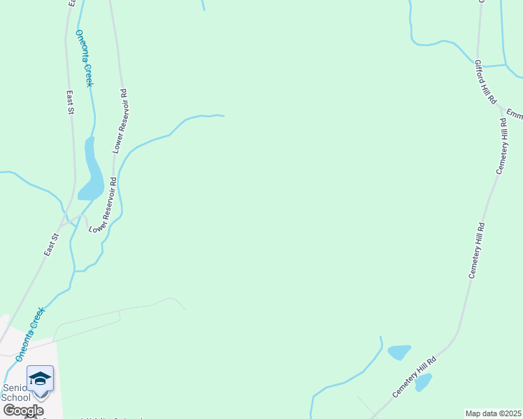 map of restaurants, bars, coffee shops, grocery stores, and more near in Oneonta