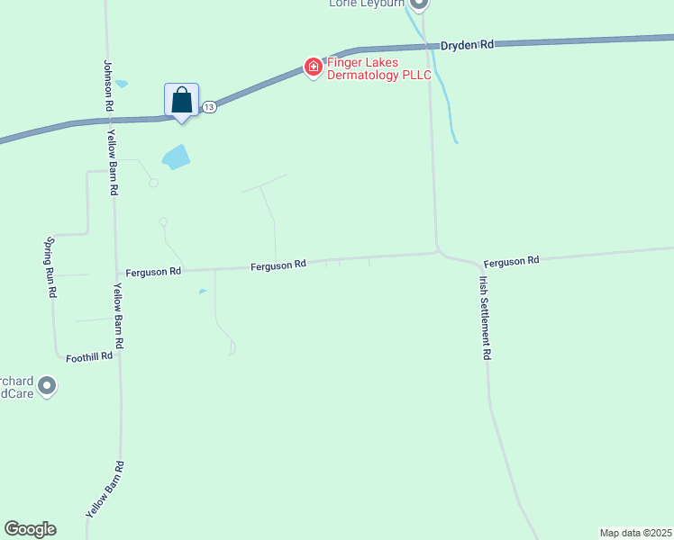 map of restaurants, bars, coffee shops, grocery stores, and more near 363 Ferguson Rd in Freeville