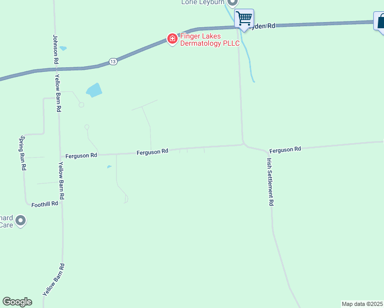 map of restaurants, bars, coffee shops, grocery stores, and more near 363 Ferguson Road in Freeville