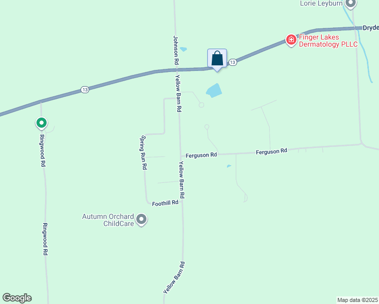 map of restaurants, bars, coffee shops, grocery stores, and more near 457 Ferguson Rd in Freeville
