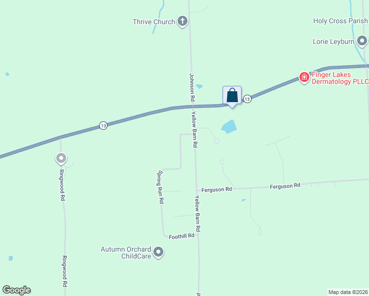 map of restaurants, bars, coffee shops, grocery stores, and more near 35 Spring Run Rd in Freeville