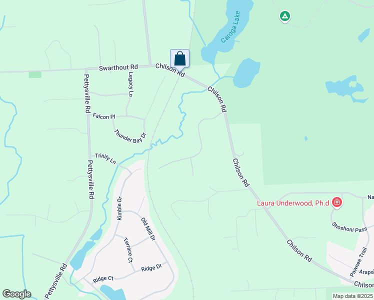 map of restaurants, bars, coffee shops, grocery stores, and more near 4813 Caroga Drive in Pinckney