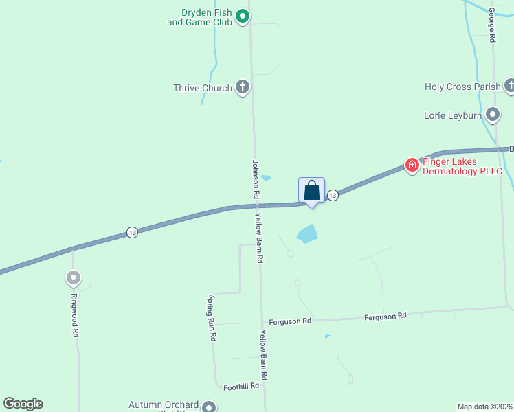 map of restaurants, bars, coffee shops, grocery stores, and more near Dryden Road & Yellow Barn Road in Freeville