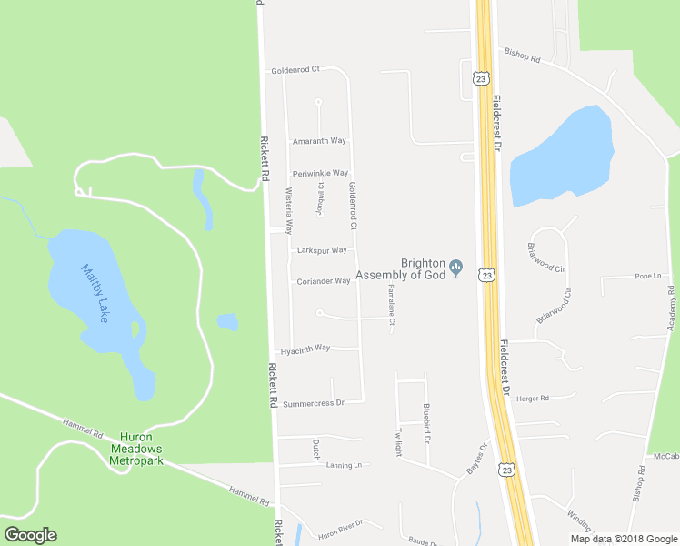 map of restaurants, bars, coffee shops, grocery stores, and more near 9271 Coriander Way in Brighton