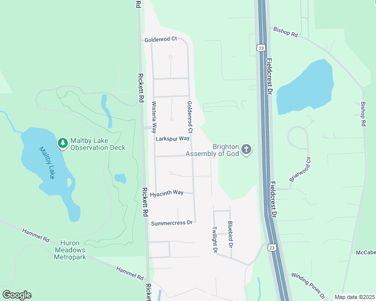 map of restaurants, bars, coffee shops, grocery stores, and more near 9271 Coriander Way in Brighton