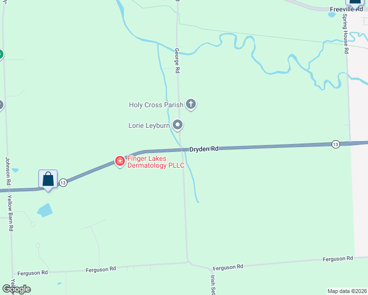 map of restaurants, bars, coffee shops, grocery stores, and more near 399 George Road in Freeville