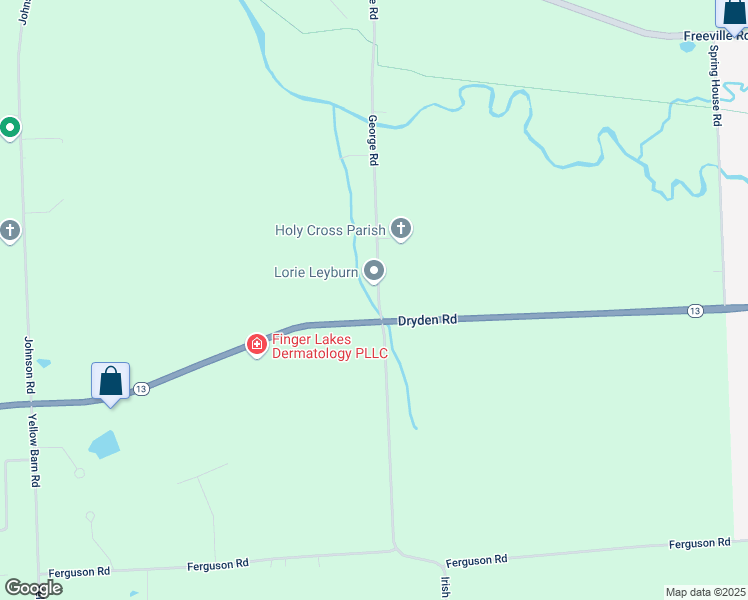 map of restaurants, bars, coffee shops, grocery stores, and more near 396 George Road in Freeville