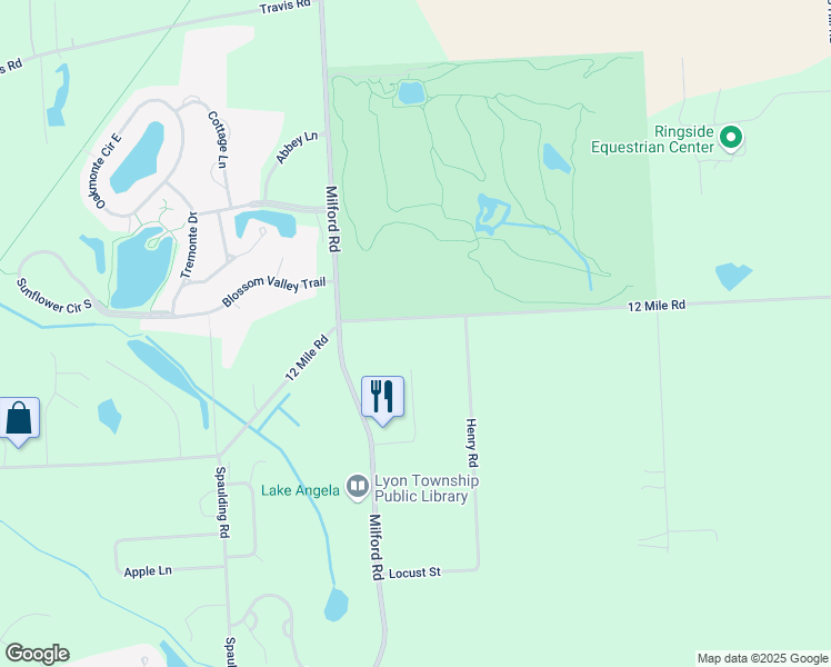 map of restaurants, bars, coffee shops, grocery stores, and more near 56739 12 Mile Road in South Lyon