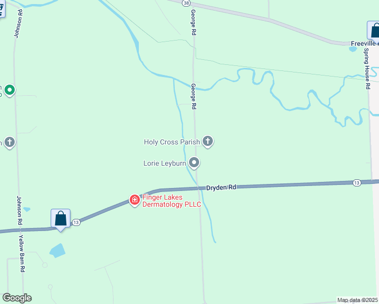 map of restaurants, bars, coffee shops, grocery stores, and more near 370 George Road in Freeville