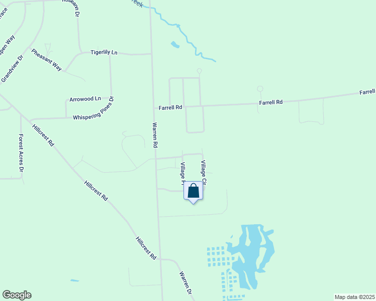 map of restaurants, bars, coffee shops, grocery stores, and more near 37 Village Place in Ithaca