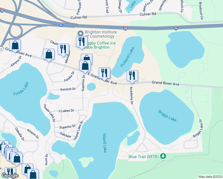 map of restaurants, bars, coffee shops, grocery stores, and more near 6030 Vicki Jean Lane in Brighton