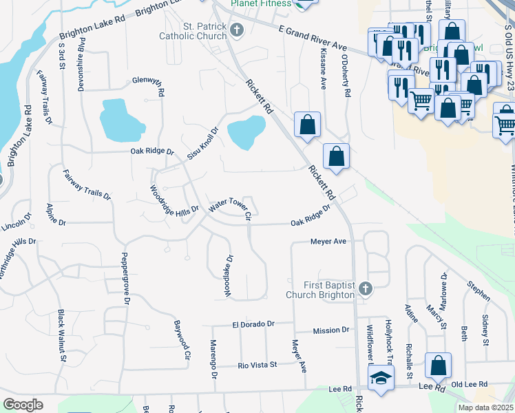 map of restaurants, bars, coffee shops, grocery stores, and more near 392 Spring Brooke Drive in Brighton