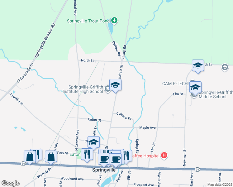 map of restaurants, bars, coffee shops, grocery stores, and more near 290 North Buffalo Street in Springville