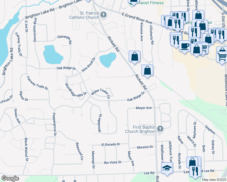 map of restaurants, bars, coffee shops, grocery stores, and more near 396 Spring Brooke Drive in Brighton