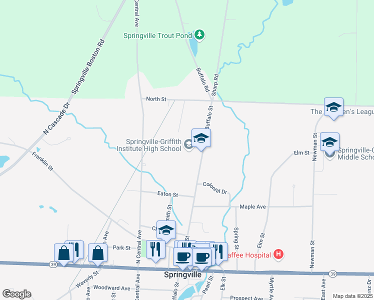 map of restaurants, bars, coffee shops, grocery stores, and more near 290 North Buffalo Street in Springville