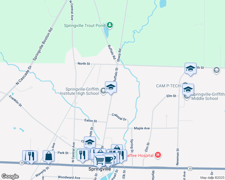 map of restaurants, bars, coffee shops, grocery stores, and more near 290 North Buffalo Street in Springville