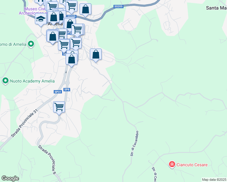 map of restaurants, bars, coffee shops, grocery stores, and more near 54 Strada di Cecanibbio in Provincia di Terni