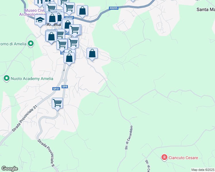 map of restaurants, bars, coffee shops, grocery stores, and more near 54 Strada di Cecanibbio in Provincia di Terni