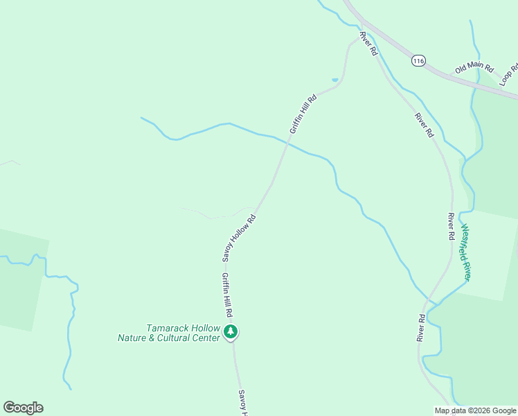 map of restaurants, bars, coffee shops, grocery stores, and more near 191 Griffin Hill Rd in Savoy